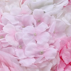 Flower Wall Panel 24″ x 16″ Artificial Roses Dahlias for Wedding & Party TOP