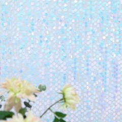 IRIDESCENT 8×8 ft Big Payette Sequined BACKDROP CURTAIN Wedding Home Decorations