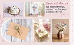 100 Pcs Dried Babys Breath Flowers Bulk Babys Breath Real Pred