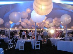 12X round Chinese paper lanterns lamp 12″ Wedding Party Floral Event decoration