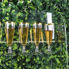 CLEAR 25″ Acrylic 2-Tier Wine Glass Rack Champagne Flute HOLDER STAND Events