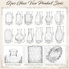 24 Pcs Boho Dried Flower Bouquet with Glass Vase Set 12 Mini