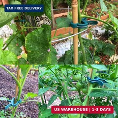 Yinghezu 40 Pcs Plant Support Clips,Tomato Plant Clips 2 Sizes in one Pack | Flo