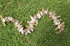 Beach Wedding Table Runner Centerpiece Oyster Shells Driftwood, 33″+ G-83