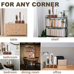 3Pcs Dried Flower Decor,Kni Knas for Shees,Cool Stuff for Bookshelf