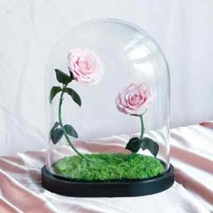Eternal Rose in Glass Dome – Valentine’s Day Gift