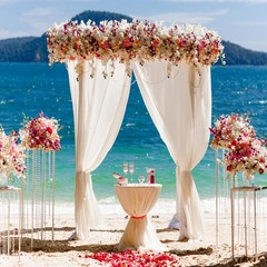 7.5FT Round Balloon Arch Stand Wedding Backdrop Party Decor Climbing Plant Arbor
