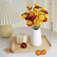 Dried Flowers Bouquet Natural Daisy – 40 PCS Multicolor Daisies Dried