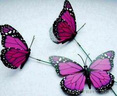3D Colorful Artificial Butterflies Dummy Craft Wedding Party Floral Decor Gift*1