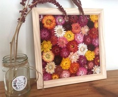 30Pcs Natural Dried Daisy Flowers Stems – Real Natural Dried Flowers