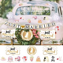 18 Pcs Just Married Wedding Car Decorations for Honeymoon Wedding | 12 Just