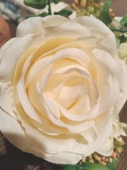 Ivory White Bouquet-5 Cabbage Roses, Hydrangea, Small Accent Berries, Greenery