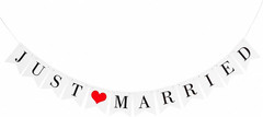 Just Married Banner Pre-Strung Wedding Banner Bunting Photo Booth Props Garland