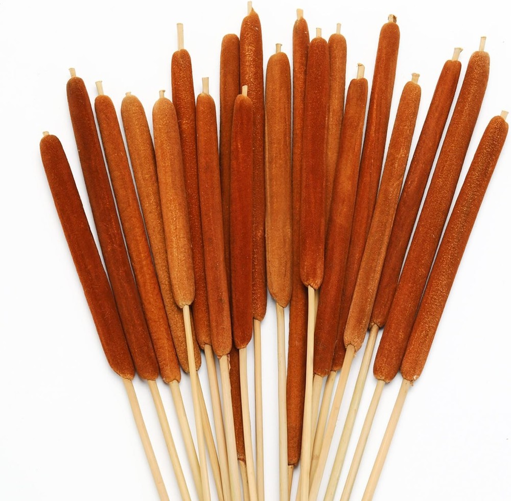 Natural Dried Cattail Flowers, 20 PCS Assorted Cattails for DIY Rustic