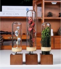 3Pcs Dried Flower Decor,Kni Knas for Shees,Cool Stuff for Bookshelf