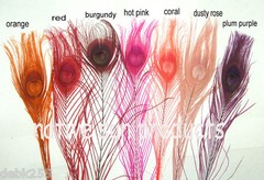 50 Peacock Feathers w/ Eyes 30-35″ L Bleached & dyed Your choice of 21 colors
