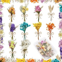10 Pcs Mini Dried Flowers Bouquet Natural Gypsophila Don’t Fort Me Dried