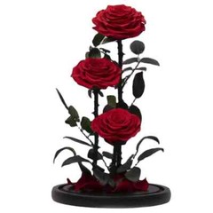 Three Eternal Roses with Glass Dome – Valentine’s Day Gift