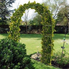 Metal Garden Arch Gothic Arbor Climbing Rose Plants Outdoor Archway Trellis 8ft