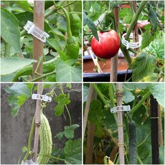 200 Pcs Plastic Trellis Plant Support Clips for Support, Grape and Tomato Vin…