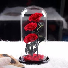 Eternal Rose in Glass Dome – Valentine’s Day Gift
