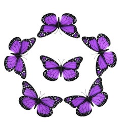 AQUEENLY Monarch Butterfly Decorations Purple Butterflies for Crafts Premium