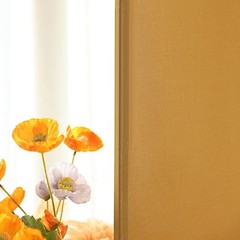 5 ft GOLD Matte Fitted Spandex Round Top Arch Backdrop STAND COVER Party