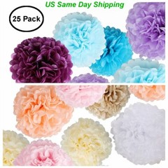 25 Pcs Tissue Paper PompomsHanging Paper Flowers Ball for Birthday Party Decor