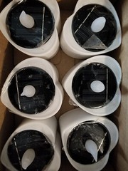 Heart Shaped Solar Lights 6 count
