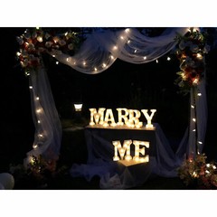 Metal Arch Rack Flower Vine Balloon Display Frame Stand Wedding Stand PartyDecor