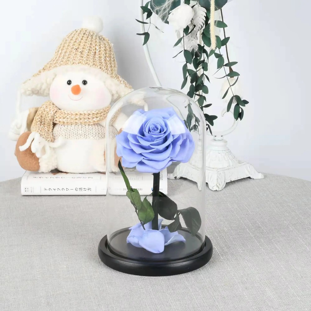 Eternal Rose in Glass Dome – Valentine’s Day Gift