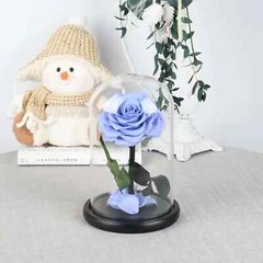 Eternal Rose in Glass Dome – Valentine’s Day Gift