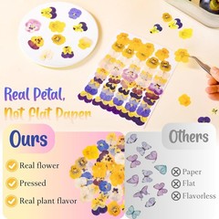 50 Pcs 10 Kinds Natural Dried Pred Edible Flowers for Cake per
