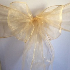 Champagne organza chair sashes chair ties bows Chair ribbon wedding decoration