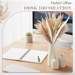 Ceric Vase Set of 6 with 100 Pcs Dried Ppas Grass Flowers,