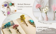 10 Pcs Mini Dried Flowers Bouquet Natural Gypsophila Don’t Fort Me Dried