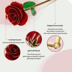 Gold Dipped Rose 24k Red Gold Plated Rose – Everlasting Long Stem Real Rose E…