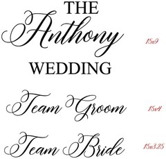 Custom Name Beer Pong Vinyl Decal Sticker Set Wedding Party Bride Groom Table