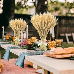 17.7 Inches Dried Wheat Stalks, 100 Stems Dried Flowers Natural