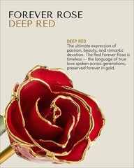 Forever Rose Real Red Rose Dipped in 24K Gold with Gold-Trimmed Petals and St…