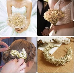 Dried Baby’s Breath Flowers Ivory White, 17inch Dried Natural Flowers