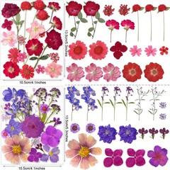 221PCS Real Dried Pred Flowers for Resin Craft, Dry Pring