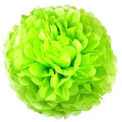 6PCS Paper Flower Tissue Pom Pom Hanging Ball Wedding Babyshower Party Decor
