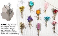 10 Pcs Mini Dried Flowers Bouquet Natural Gypsophila Don’t Fort Me Dried