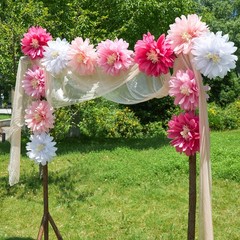 Daisy Tissue Paper Pom Poms, Wildflower Party Decorations, 14 inches, pink