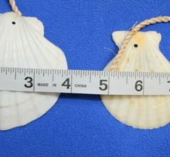 Seashell Wedding Gazebo Archway Garland Large Long Size, 68″ +, G-89