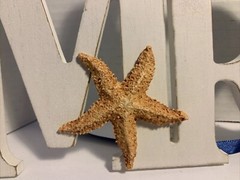 Mr. and Mrs. Hanging Wooden Signs, With Star Fish, Wedding Chair, Wall Decor.
