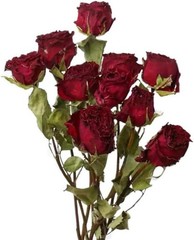 Toot Natural Dried Flowers Bouquet, 10 Pcs Red Dried Roses Bouquet for
