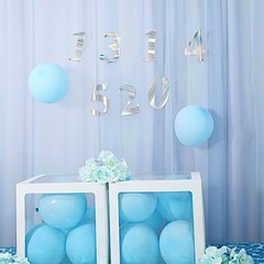 4 Iridescent 5″ Number Stickers Backdrop Wall Decorations Party Wedding Events