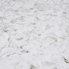 20Pcs Flower Panel White Artificial Flower Wall Panel Flower Backdrop Wall Decor
